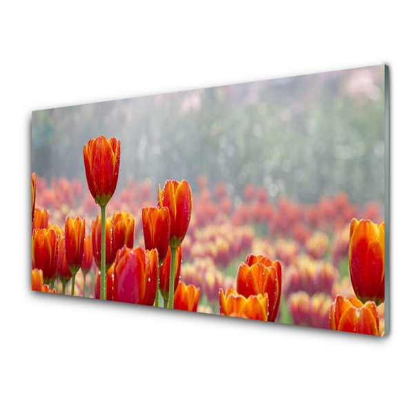 Küchenrückwand Fliesenspiegel Tulpen Pflanzen