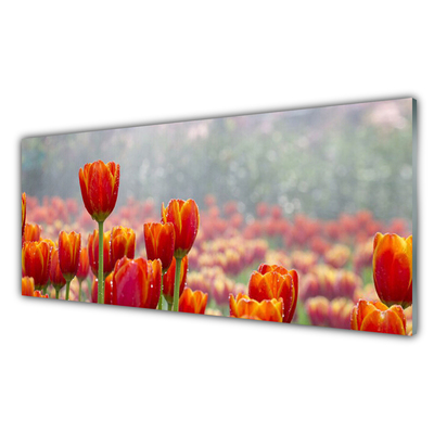 Küchenrückwand Fliesenspiegel Tulpen Pflanzen