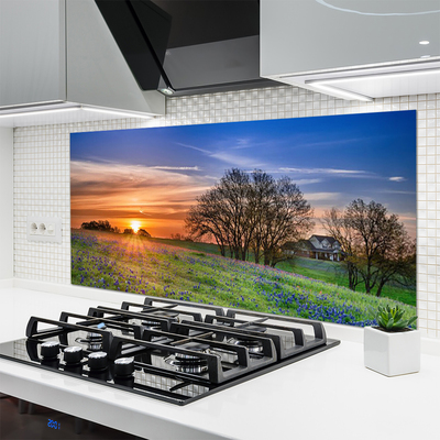 Küchenrückwand Fliesenspiegel Wiese Sonne Landschaft
