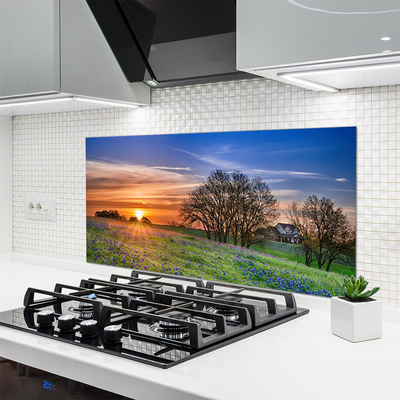 Küchenrückwand Fliesenspiegel Wiese Sonne Landschaft
