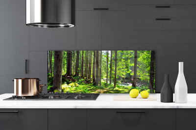 Küchenrückwand Fliesenspiegel Wald Natur