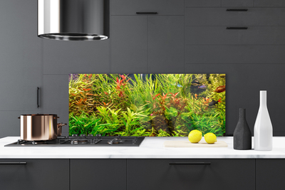 Küchenrückwand Fliesenspiegel Blattpflanzen Pflanzen