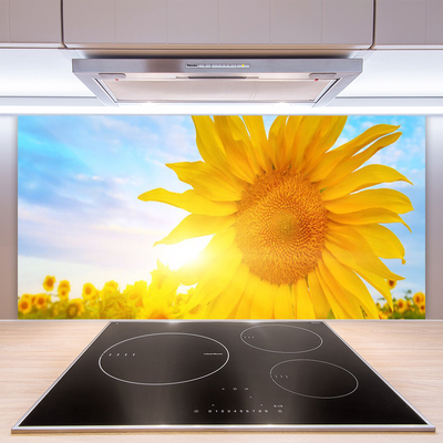 Küchenrückwand Fliesenspiegel Sonnenblume Pflanzen