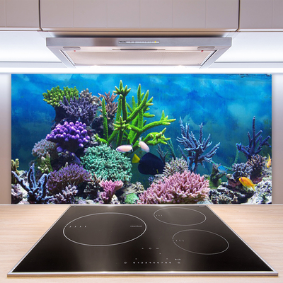 Küchenrückwand Fliesenspiegel Korallenriff Natur