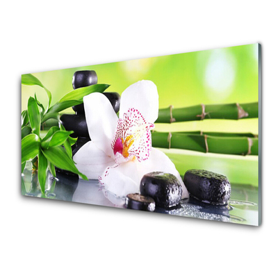 Küchenrückwand Fliesenspiegel Bambusrohre Blume Steine Pflanzen