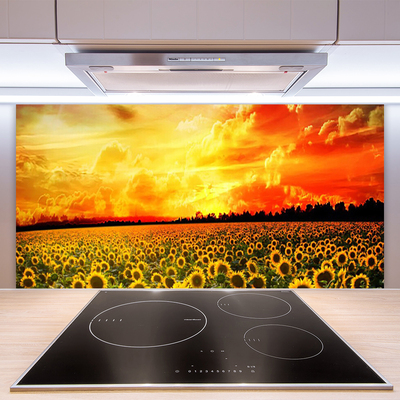 Küchenrückwand Fliesenspiegel Wiese Sonnenblumen Pflanzen