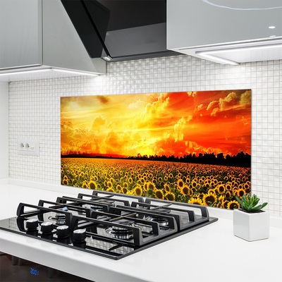 Küchenrückwand Fliesenspiegel Wiese Sonnenblumen Pflanzen