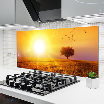 Küchenrückwand Fliesenspiegel Sonne Wiese Landschaft