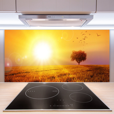 Küchenrückwand Fliesenspiegel Sonne Wiese Landschaft