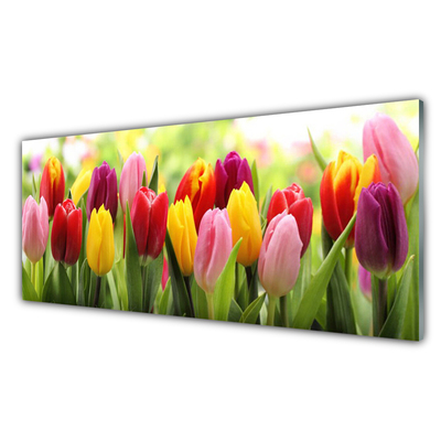 Küchenrückwand Fliesenspiegel Tulpen Pflanzen