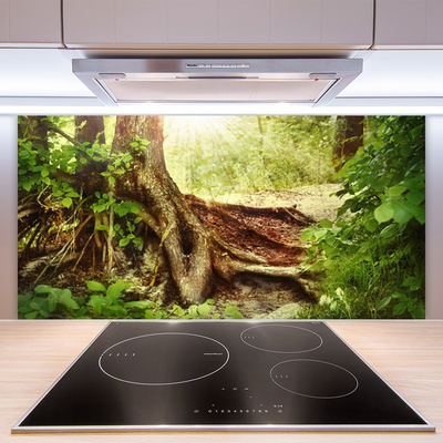 Küchenrückwand Fliesenspiegel Baumstamm Natur