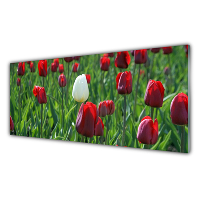 Küchenrückwand Fliesenspiegel Tulpen Pflanzen