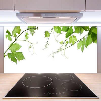Küchenrückwand Fliesenspiegel Zweige Blätter Pflanzen
