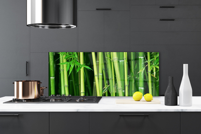 Küchenrückwand Fliesenspiegel Bambusrohre Pflanzen