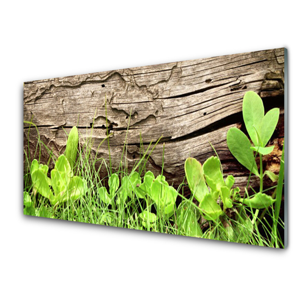 Küchenrückwand Fliesenspiegel Gras Blätter Pflanzen