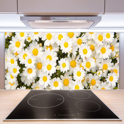 Küchenrückwand Fliesenspiegel Gänseblümchen Pflanzen