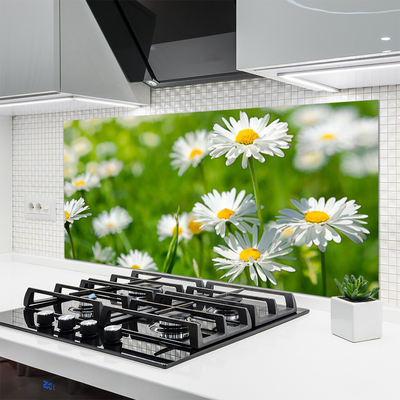Küchenrückwand Fliesenspiegel Gänseblümchen Pflanzen