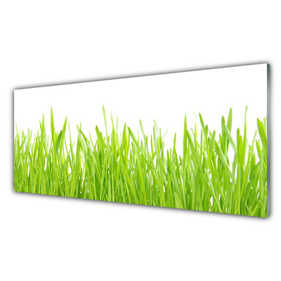 Küchenrückwand Fliesenspiegel Gras Natur