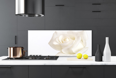 Küchenrückwand Fliesenspiegel Rose Pflanzen