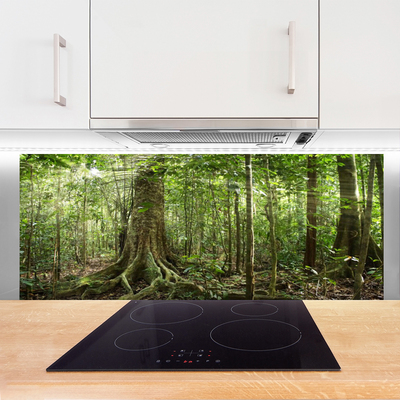 Küchenrückwand Fliesenspiegel Wald Natur