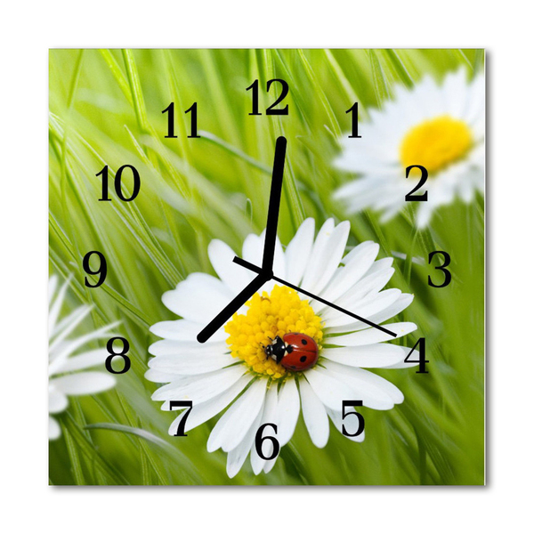Glasuhr Küchenuhr Margeriten