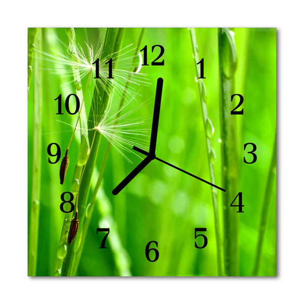 Glasuhr Küchenuhr Gras