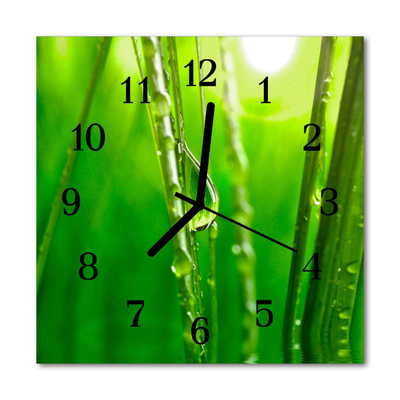Glasuhr Küchenuhr Gras Tropfen