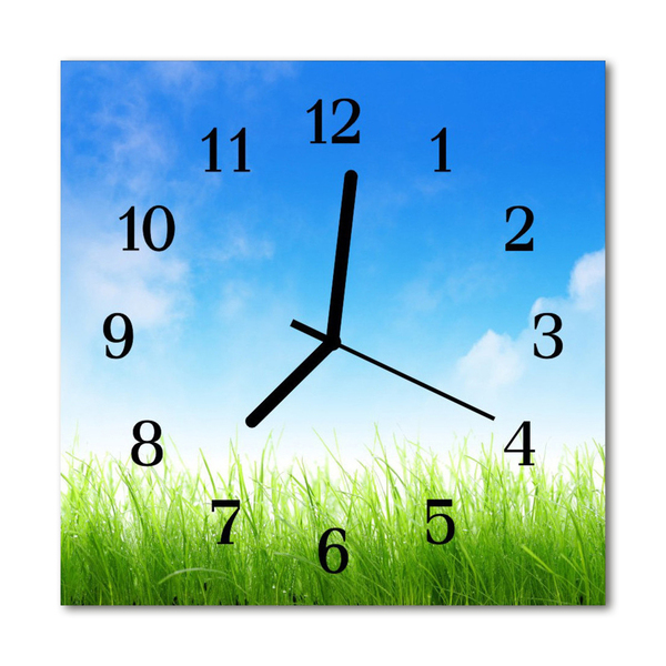 Glasuhr Küchenuhr Gras