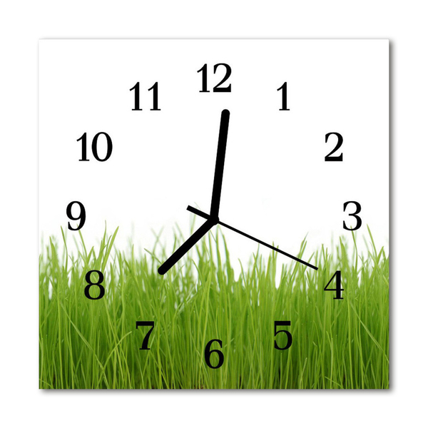 Glasuhr Küchenuhr Gras