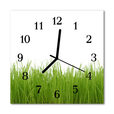 Glasuhr Küchenuhr Gras