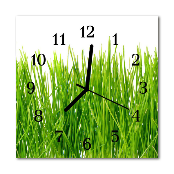 Glasuhr Küchenuhr Gras