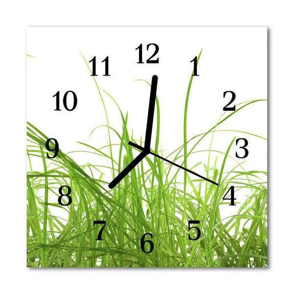 Glasuhr Küchenuhr Gras