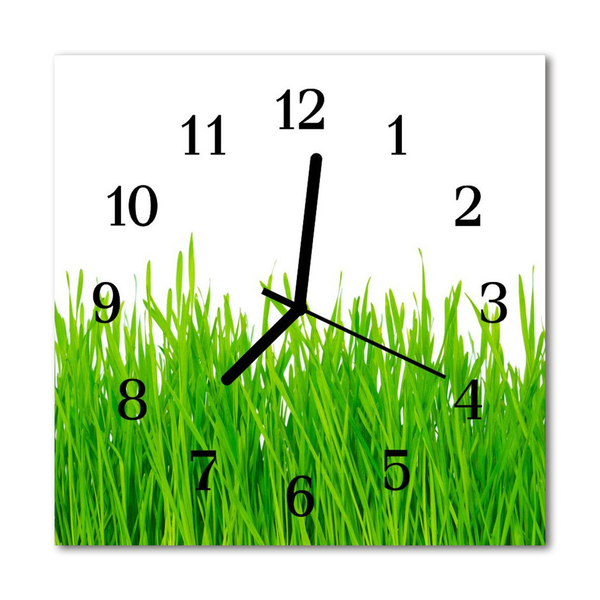 Glasuhr Küchenuhr Gras