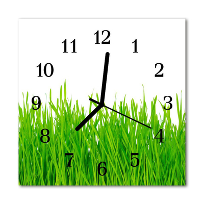 Glasuhr Küchenuhr Gras