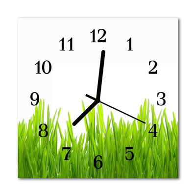 Glasuhr Küchenuhr Gras