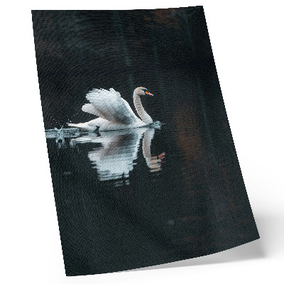 Wandposter Schwan auf dem Wasser mit Spiegelung
