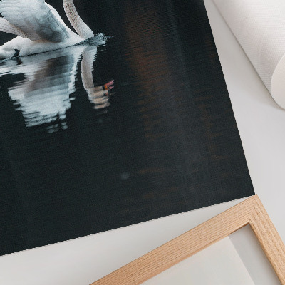 Wandposter Schwan auf dem Wasser mit Spiegelung