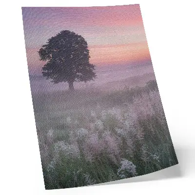 Poster einsamer Baum im Nebel unter pastellfarbenem Himmel