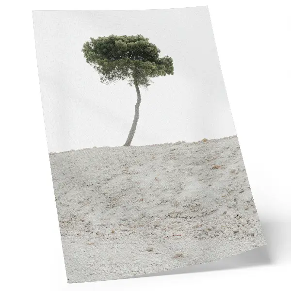 Wandposter einsamer Baum vor hellem Hintergrund im minimalistischen Stil