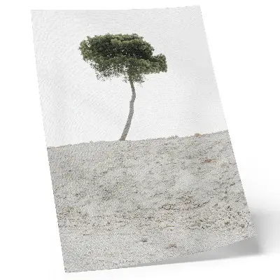 Wandposter einsamer Baum vor hellem Hintergrund im minimalistischen Stil