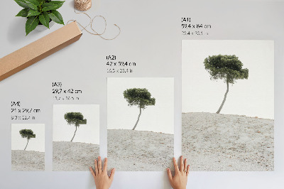 Wandposter Einsamer Baum vor hellem Hintergrund, Minimalismus