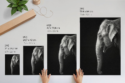 Wandposter Schwarzweißes Porträt eines Elefanten im Profil