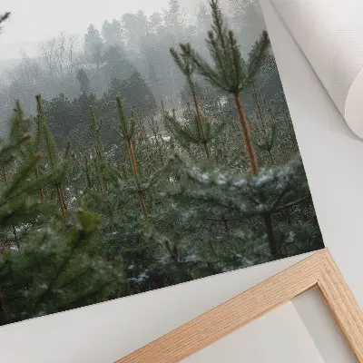 Kunstdruck auf Leinwand grüne Kiefern im Nebel mit subtiler Tiefe für eine entspannende Atmosphäre