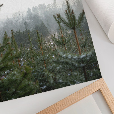 Kunstdruck leinwand Grüne Kiefern, Nebel, subtile Tiefe, entspannende Atmosphäre