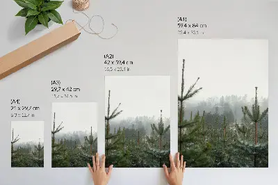 Kunstdruck auf Leinwand grüne Kiefern im Nebel mit subtiler Tiefe für eine entspannende Atmosphäre