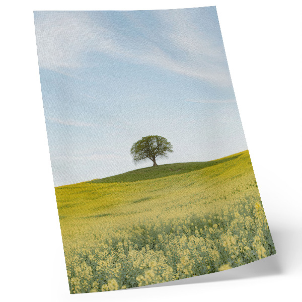 Wandposter Ein Baum auf einem Hügel in einem gelben Feld