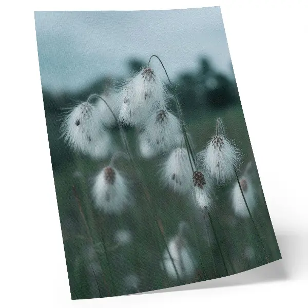 Poster mit luftigen Grashalmen in zarten Blautönen für eine friedliche Atmosphäre