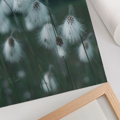Poster Luftige Grashalme, Zartheit, Blau, Frieden