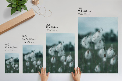 Poster Luftige Grashalme, Zartheit, Blau, Frieden