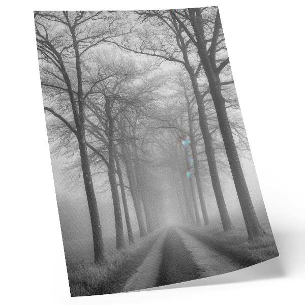 Poster Misty Tree Alley Moderner Minimalismus